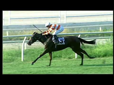 Napoli Galoppo 22/07/2022 - 3ª corsa