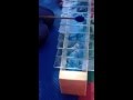 Do Re Mi Fa Marimba De Vidro Musicalização Infantil