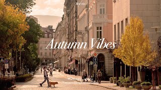 Khởi đầu mùa thu đầy hứng khởi🍁 Nhạc nhẹ nhàng cho đi dạo & làm việc | Hướng Dẫn Thiết Kế