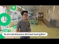 Kinderen met een beperking hebben vaak slecht vervoer naar school