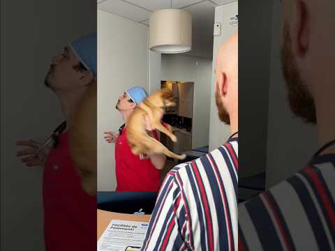 La saison des abandons est ouverte… celle des baffes aussi 😩