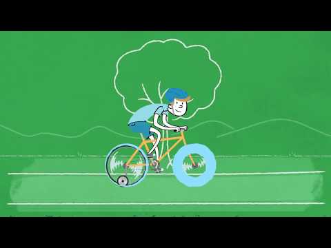 2D Animation Reel