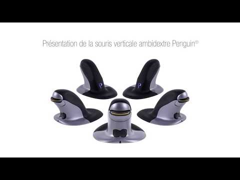 Video 1
