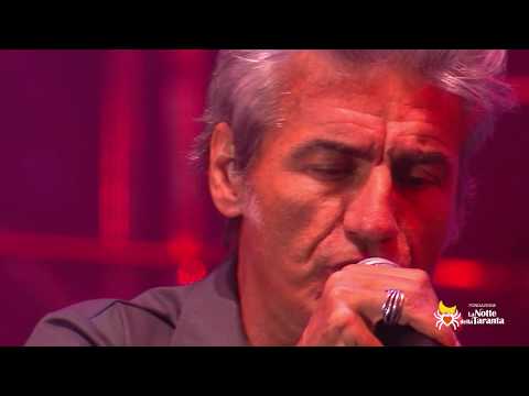 LIGABUE ed ALESSIA TONDO - Bella ci dormi - NdT 2015