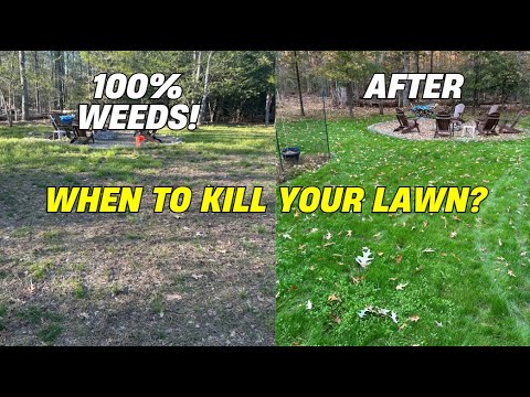 How to kill your lawn and start over | Complete Lawn Fix with glyphosate or Round Up