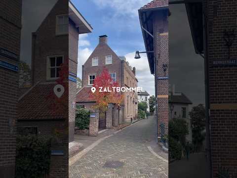 Zaltbommel: een knus stadje aan het water, heerlijk om te wandelen. 🍁 #wandeling #stedentrip