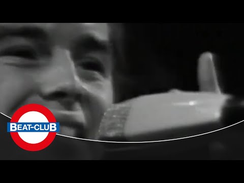 The Remo Four - Ain't Love Good, Ain't Love Proud (1967)