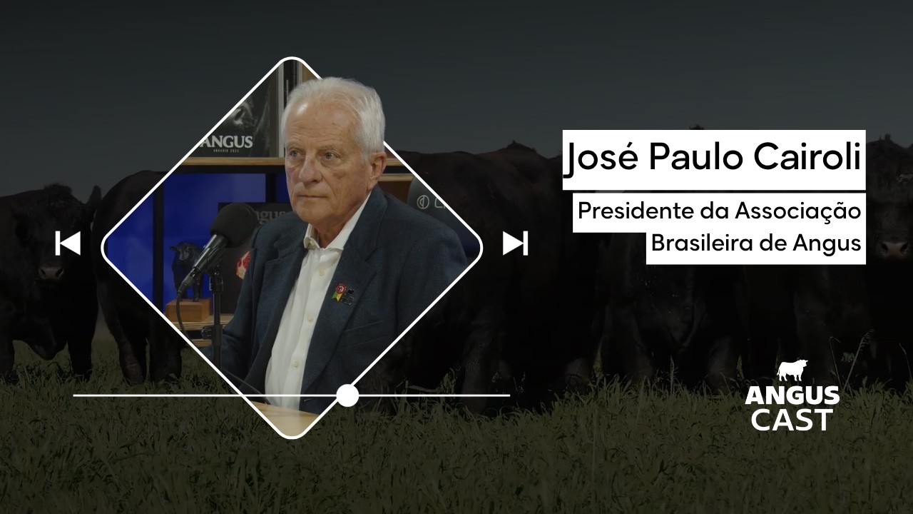 Ep. 01 - José Paulo Cairoli: A evolução da raça, inovação e os novos rumos da Associação | Anguscast