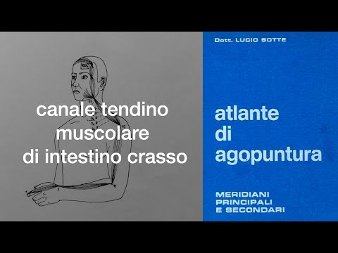 Canale tendino muscolare di Intestino Crasso