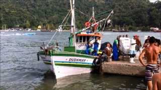 preview picture of video 'Pescaria em Itacuruça - Fish Arriving in Itacuruça - Costa Verde - RJ - Brazil'