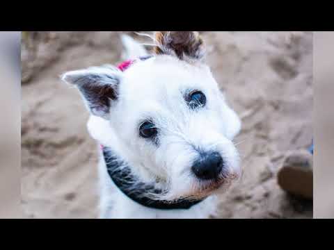 A Perfect Day - Original Concept - V5