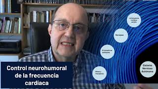 Regulación de la frecuencia cardíaca