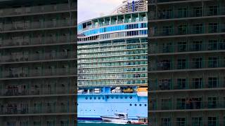 Allure of the Seas 🛳️ #share #like #subscribe #comment #cruise #vacation #shortvideo #shortsvideo