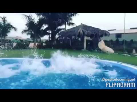 Viva Espana 🇪🇸