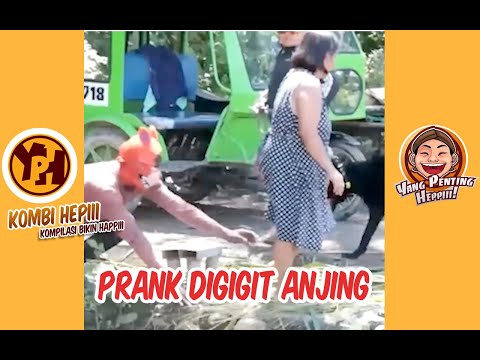 kombi-heppiii-prank-digigit-anjing