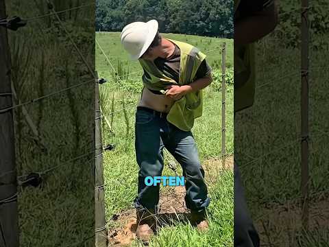 What Happens If You Touch A Electric Fence?