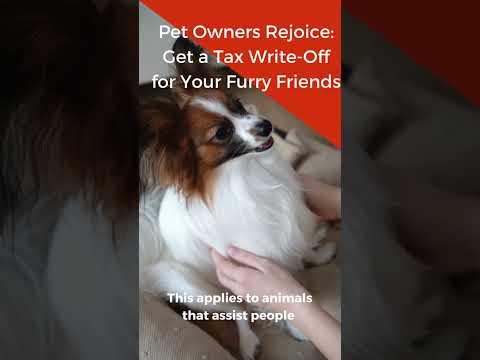 Pet Owners Rejoice Get a Tax Write Off for Your Furry Friends #taxhacks #moneyhacks #moneytips
