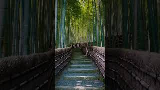 Download lagu #japan #travel #kyoto #temple mp3