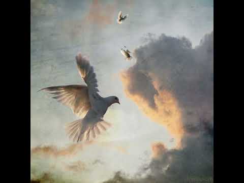 Jolagreen23 Type Beat ~ pas d'amour heureux