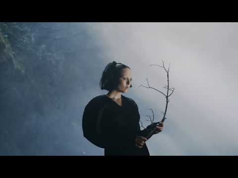 Welcome to Cape God. 🌊🌫🍂🖤