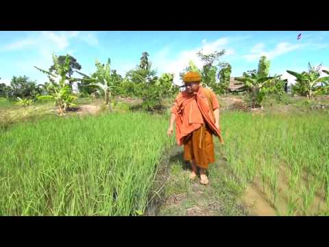 เกษตรทฤษฎีใหม่(4/8): โคก หนอง นา พลิกฟื้นพื้นที่แล้ง ตอนที่ 1