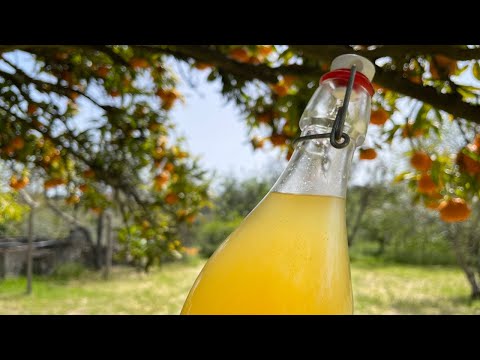 Making Homemade Liqueurs with Citrus Peel - #12