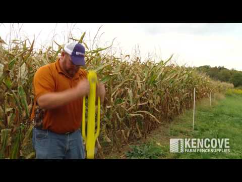 Youtube video of PPPD