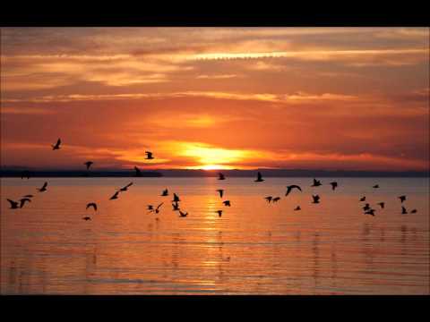 Telli Turna - Yeni Türkü