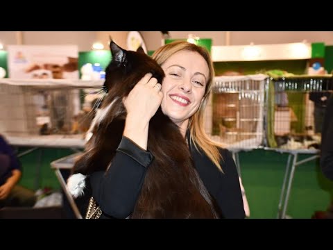 Meloni al SuperCatShow (16.11.19)