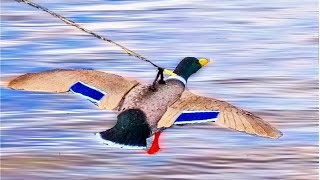 Приманка крыло для охоты на уток