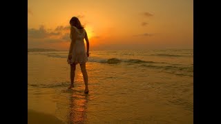 Serenade In Blue! (Vic Damone) (Lyrics)  Super Romantic 4K Music Video Album!