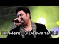 Dil Mere Tu Deewana Hai - Instrumental by Rohtas