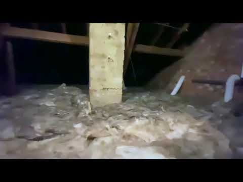 All Seasons Property Services Ltd video.