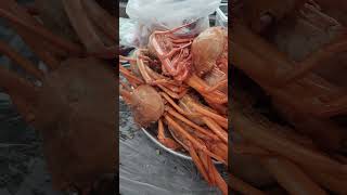 Download lagu AYCE CRAB IN POHANG, KOREA! 🦀 🔥 #travel #korea #family #pohang  #andong #eatkorea #ayce #seafood mp3