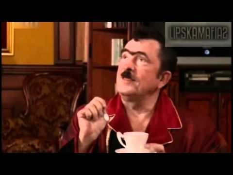 Soić volići - jagnjići - prasići