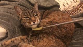 [請益] 請問一個太空影集劇名 內有微雷