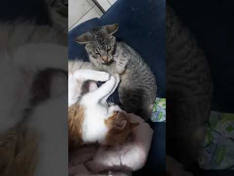 21 de agosto de 2023