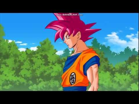 Super Saiyan God Goku vs Beerus Full Fight