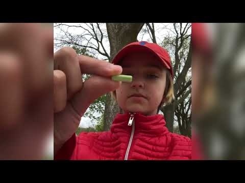 true religion fiend, playwithguns & lil shine - xans