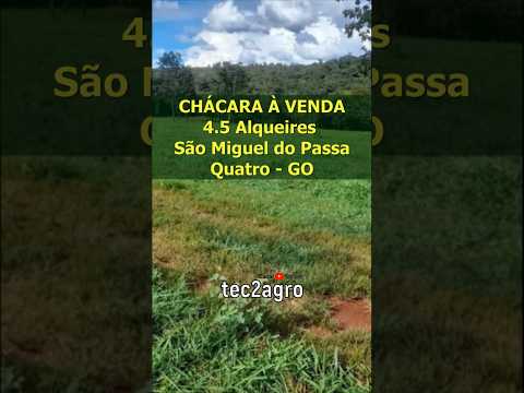 🌱 4.5 ALQ SÃO MIGUEL DO PASSA QUATRO - CHÁCARA À VENDA EM GOIÁS [DUPLA APTIDÃO] #fazenda #tec2agro