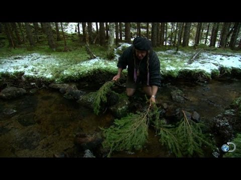 DIY Survival: A Simple Way to Catch Fish | Dual Survival