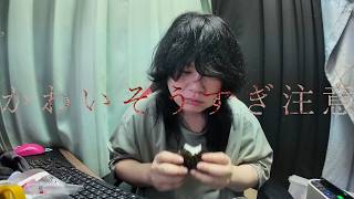 同情募集　くたくたに仕事してきたのに半額おにぎりと半額総菜しか食べれない男の子がかわいそうすぎる