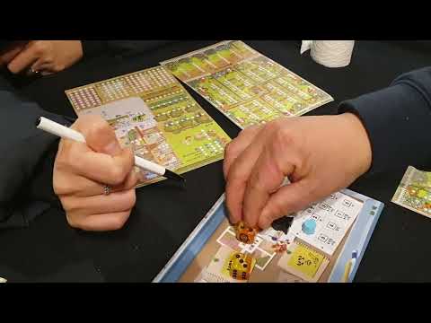 세 자매 규칙, 플레이 영상