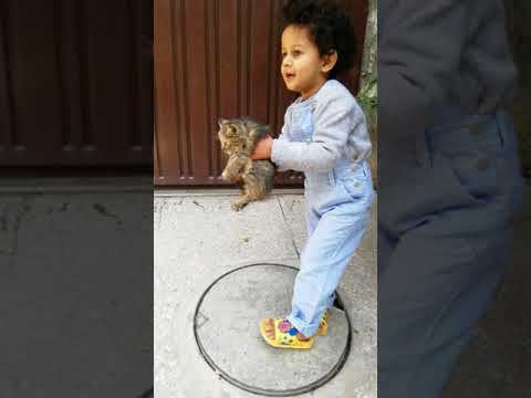 Aroosh playing with lovely Cat.
