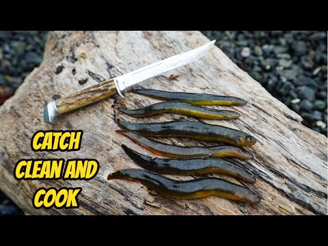 EEL Catch, Clean, and COOK!!!