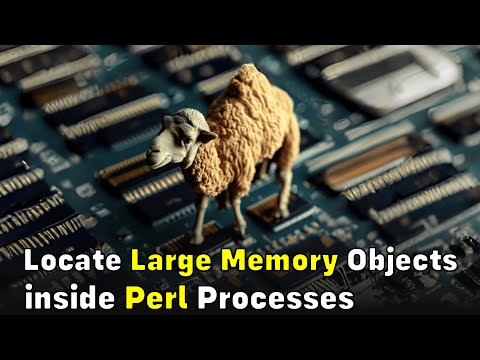 Locate Large Memory Objects inside Perl Processes (using OpenResty XRay)