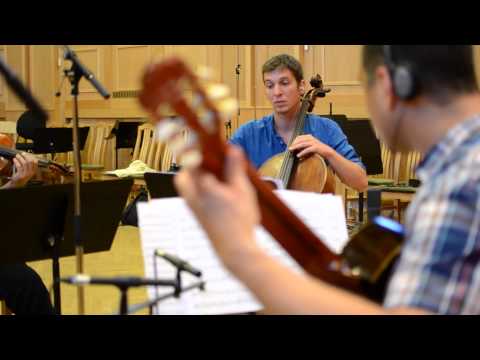 Gabriel Fauré - Pavane (guitar & string quartet)