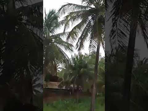 chuva em moitas amontada ceará