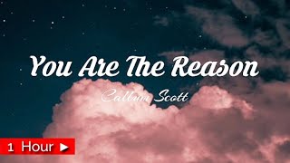 Download lagu YOU ARE THE REASON  |  by CALUM SCOTT  [ 1 HOUR LOOP ] nonstop mp3