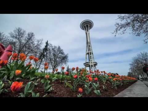 Seattle - The Emerald City